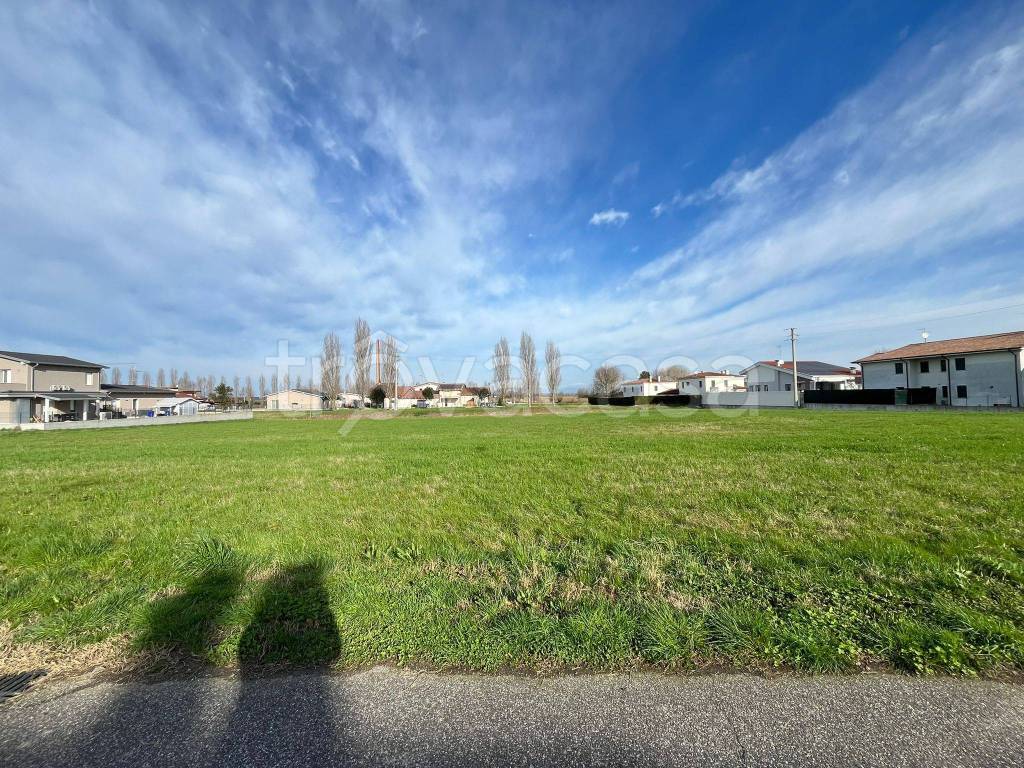 immagine annuncio 2 di 4