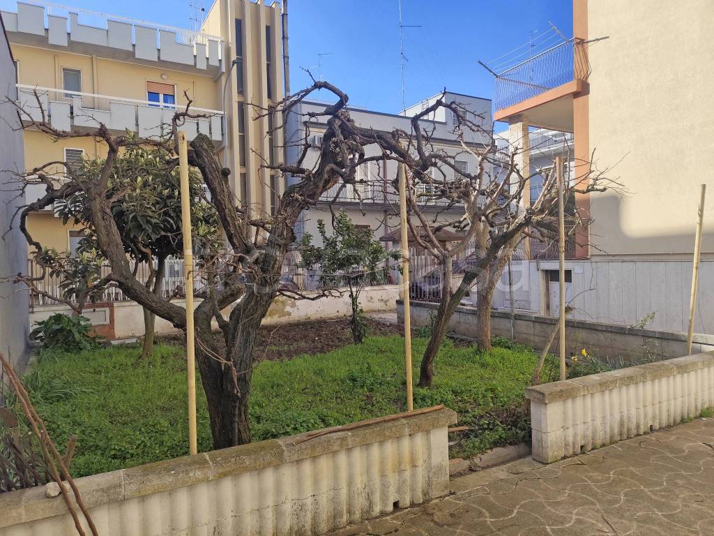 immagine annuncio 5 di 14