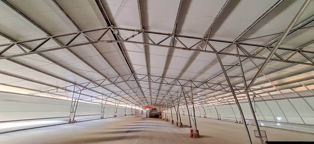 immagine annuncio 1 di 9