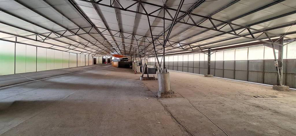 immagine annuncio 4 di 9