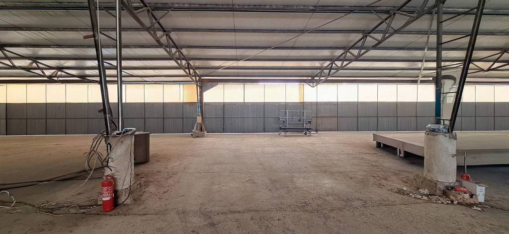 immagine annuncio 5 di 9