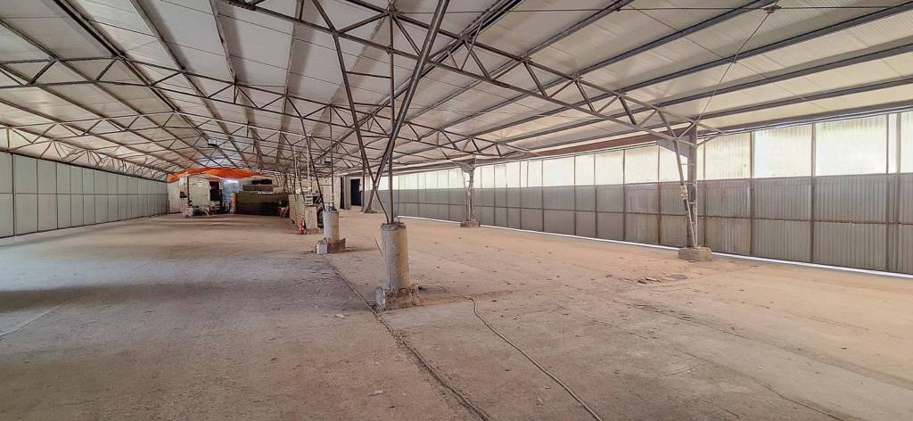 immagine annuncio 6 di 9