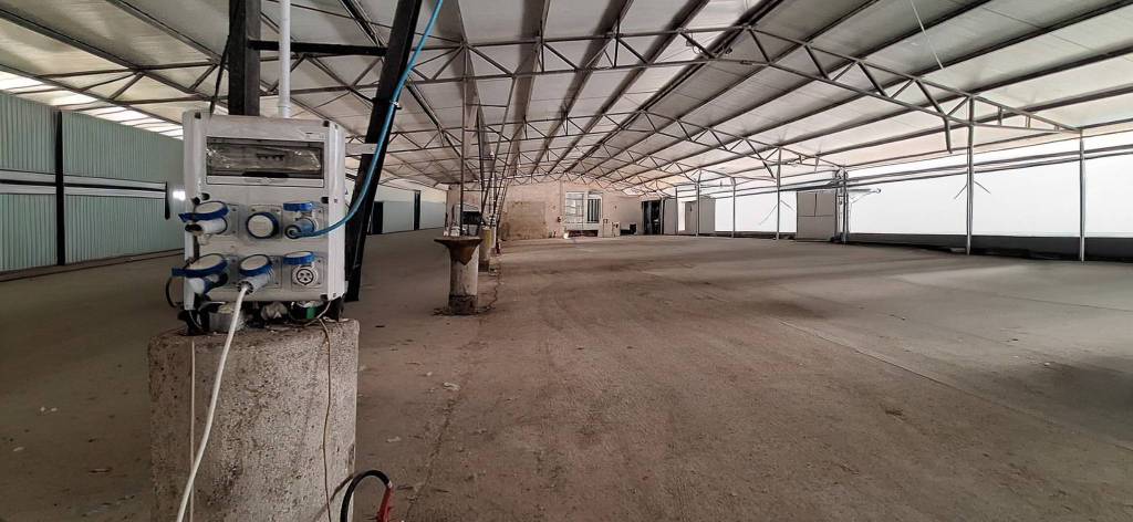 immagine annuncio 8 di 9