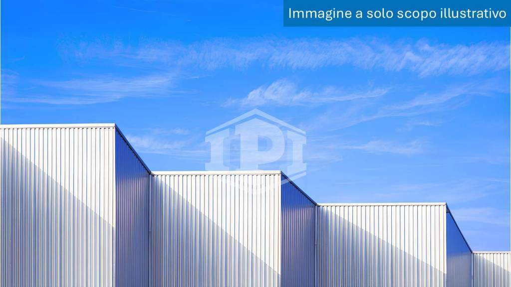 immagine annuncio 8 di 11