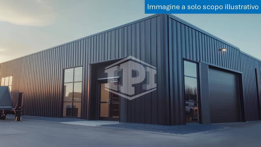 immagine annuncio 9 di 11