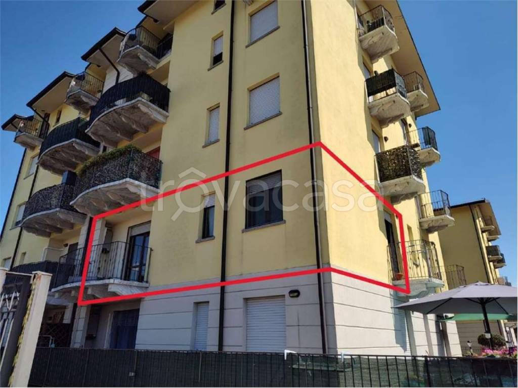 immagine annuncio 1 di 15