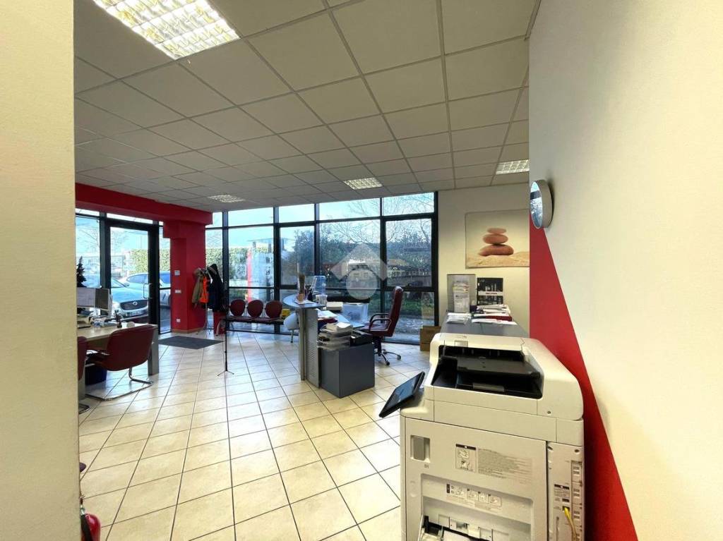 immagine annuncio 9 di 15