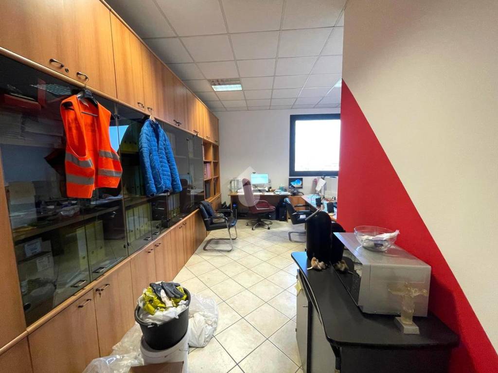 immagine annuncio 10 di 15