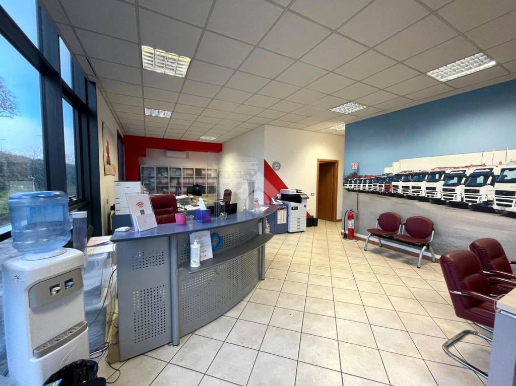 immagine annuncio 11 di 15