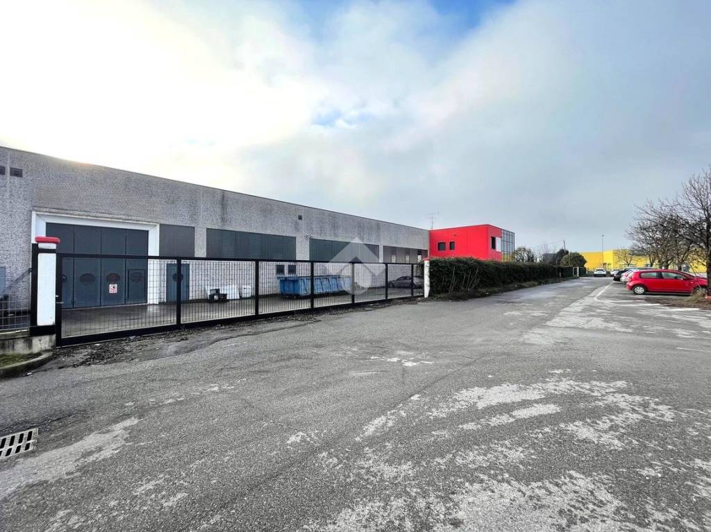 immagine annuncio 12 di 15