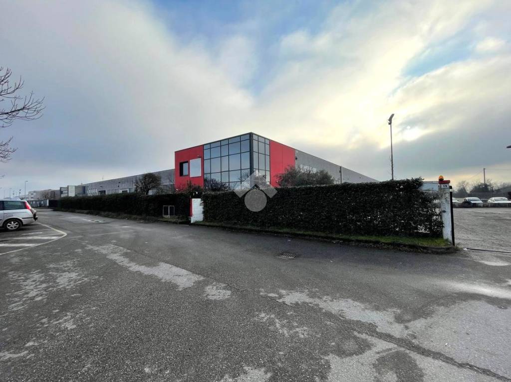 immagine annuncio 14 di 15