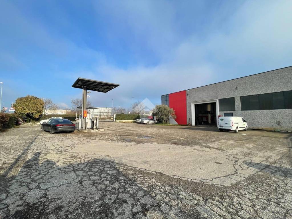 immagine annuncio 4 di 15