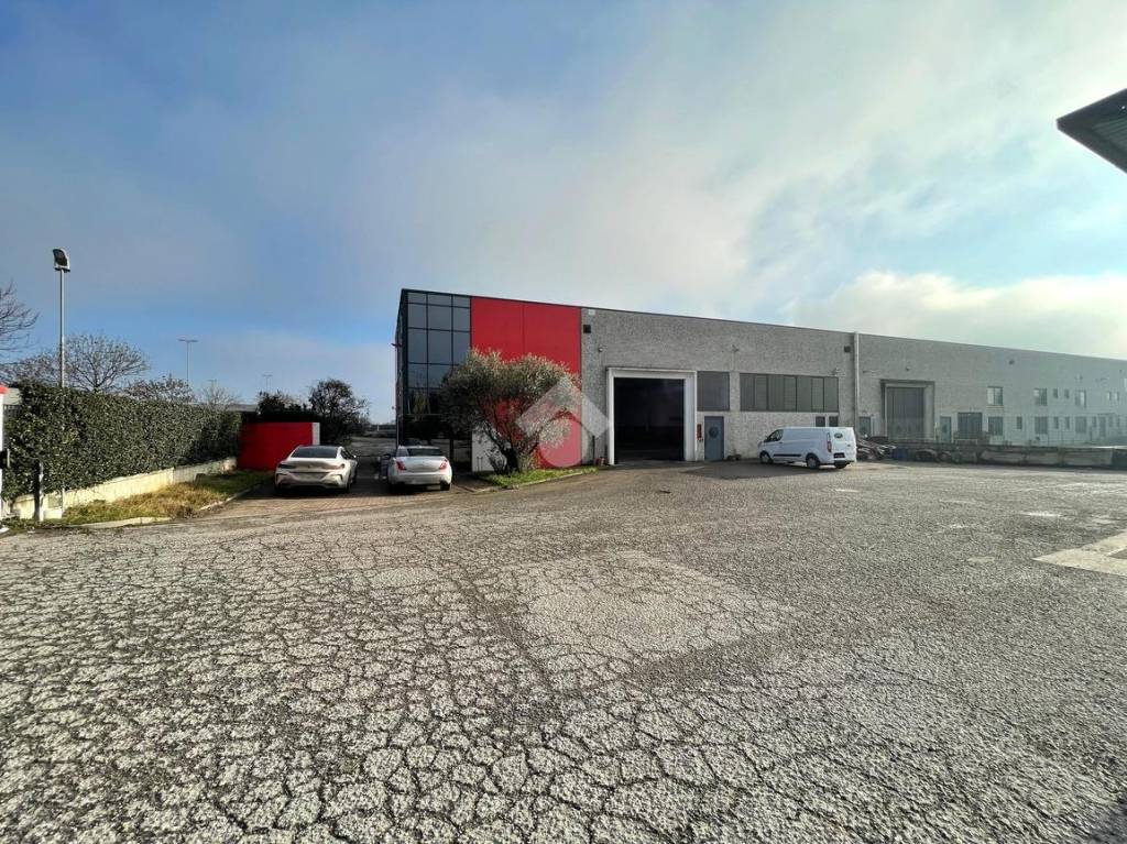 immagine annuncio 5 di 15