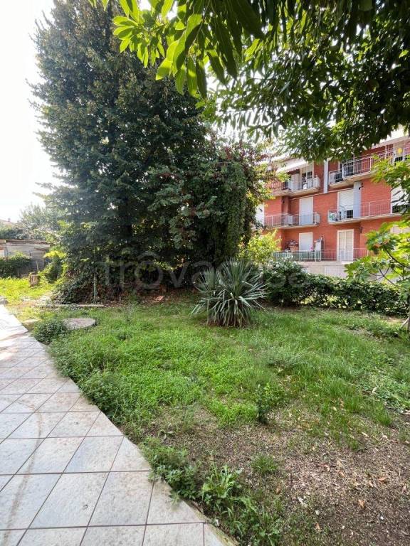 immagine annuncio 11 di 13