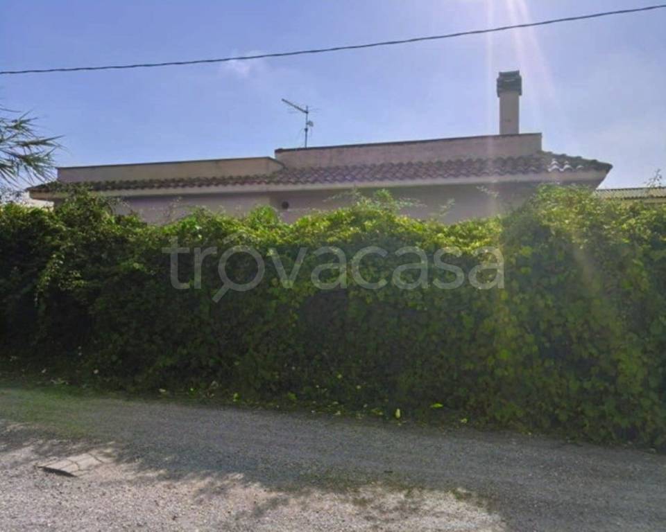 immagine annuncio 7 di 13