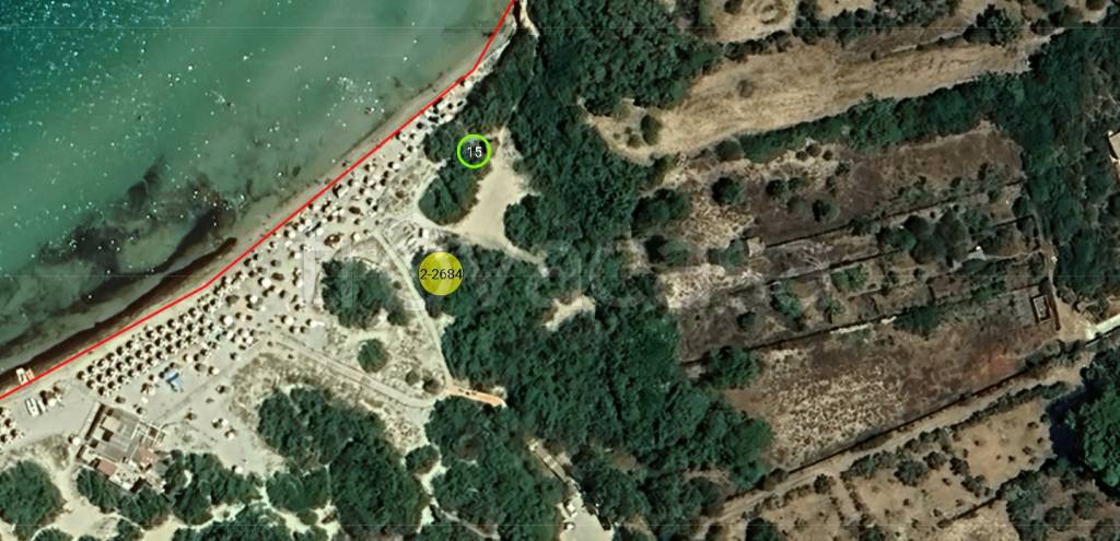 immagine annuncio 10 di 11