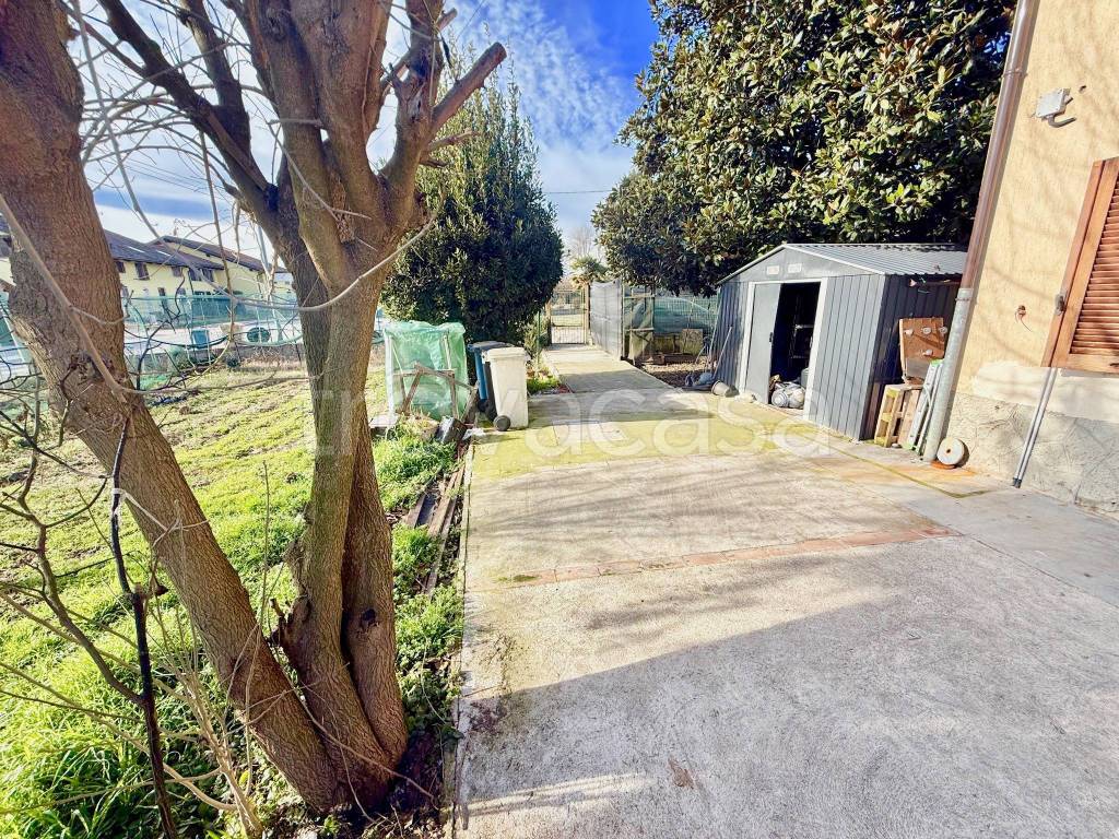 immagine annuncio 3 di 15