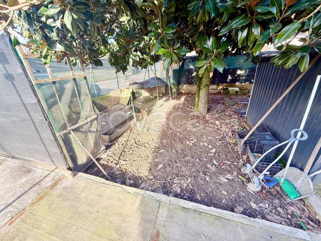 immagine annuncio 8 di 15