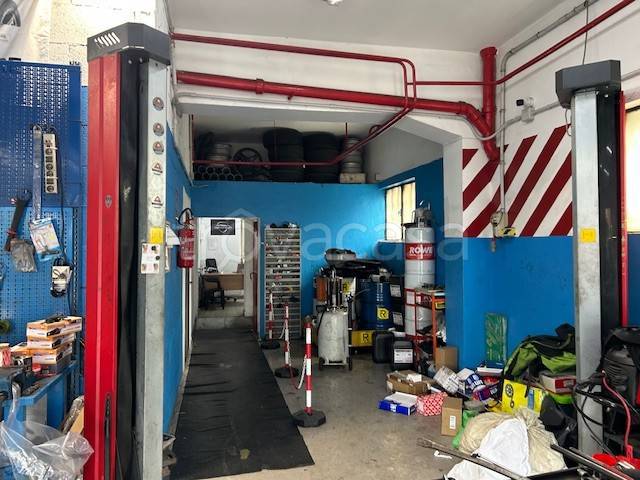 immagine annuncio 3 di 6