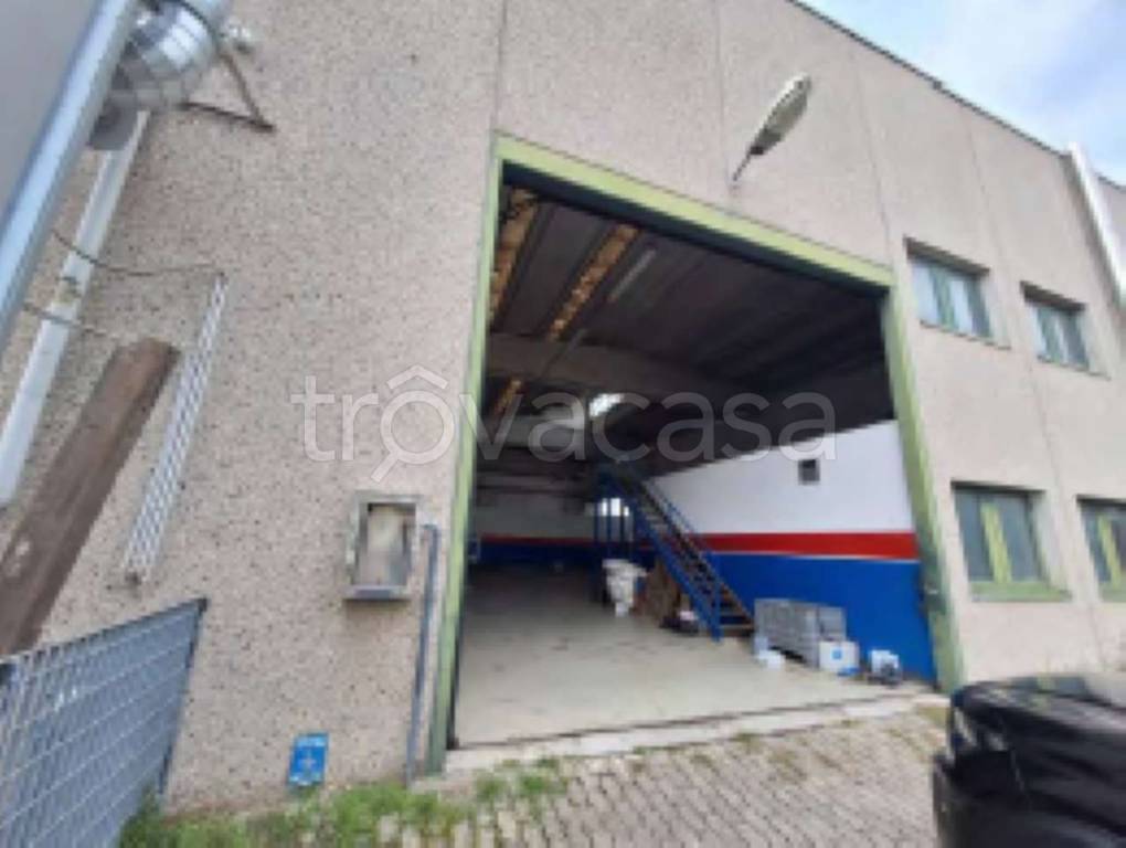 immagine annuncio 7 di 15