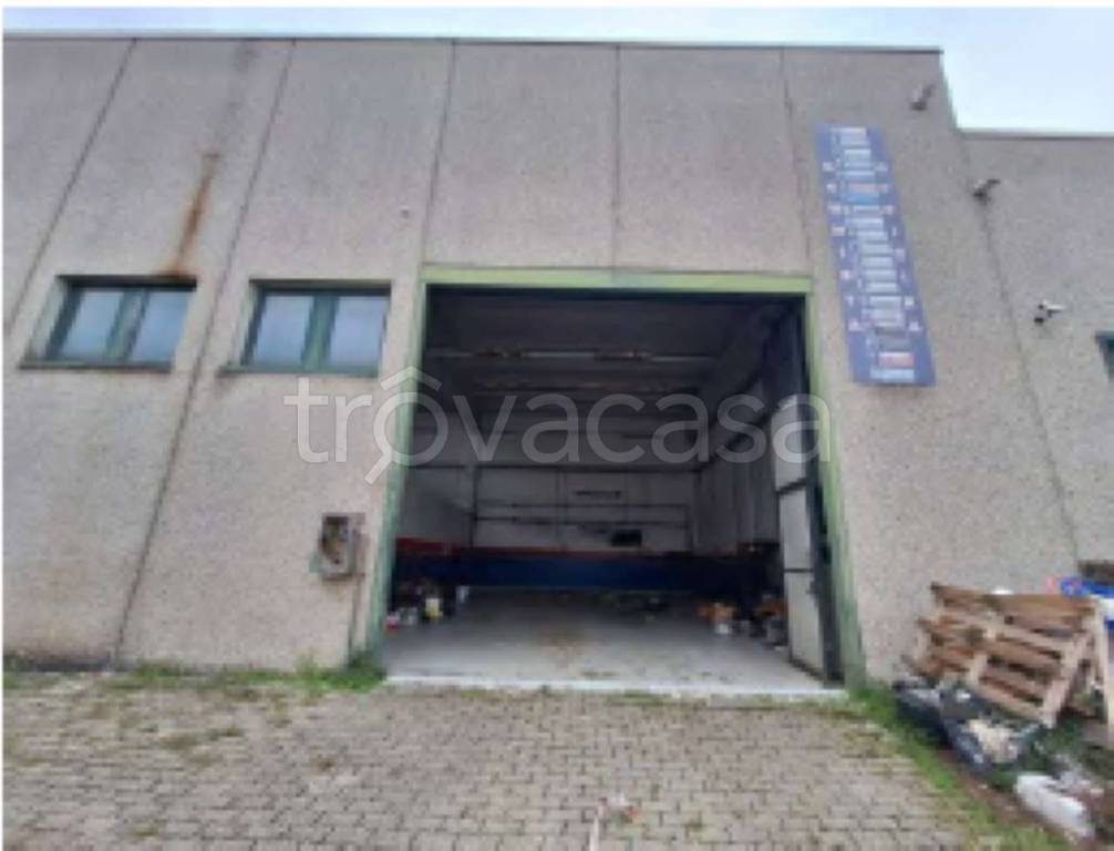 immagine annuncio 8 di 15