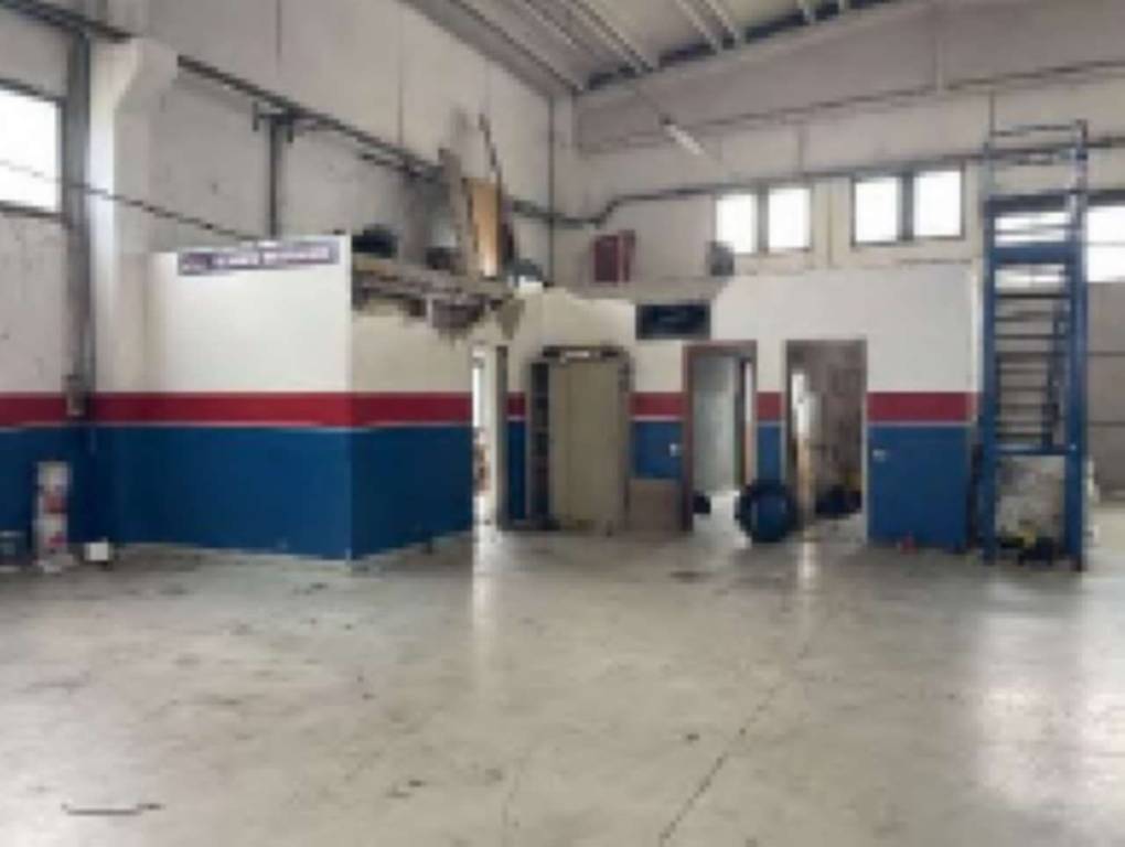 immagine annuncio 12 di 15