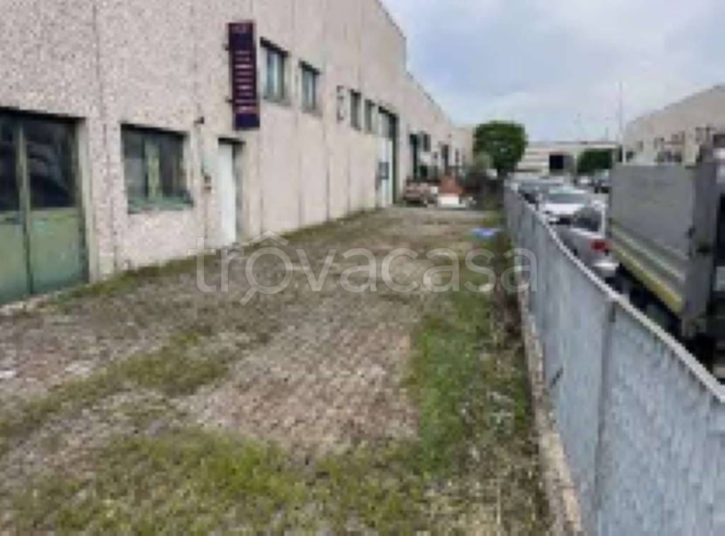 immagine annuncio 13 di 15