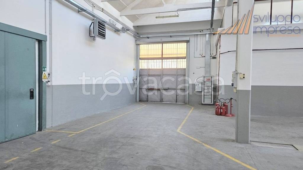 immagine annuncio 7 di 15