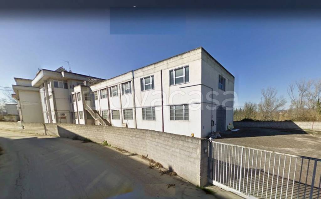 immagine annuncio 3 di 8