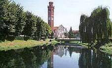 immagine annuncio 4 di 9