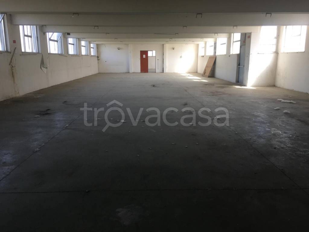 immagine annuncio 6 di 8