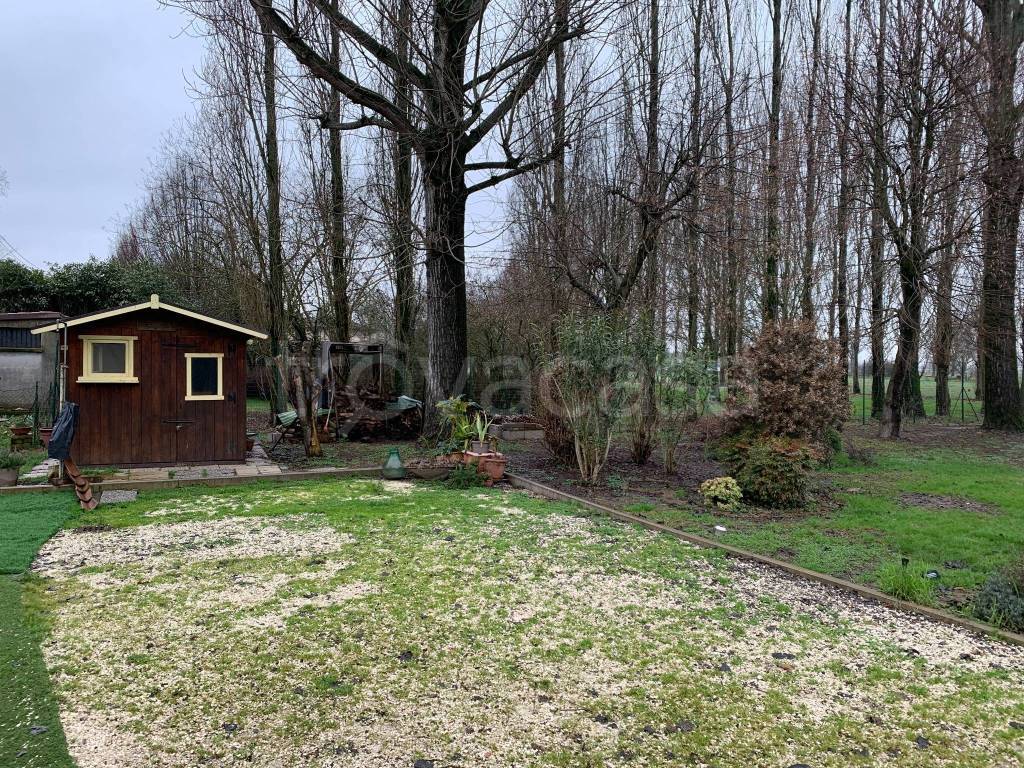 immagine annuncio 8 di 15