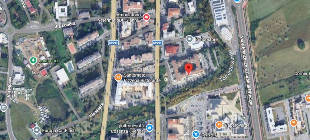 immagine annuncio 3 di 11