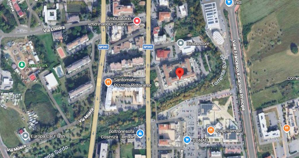 immagine annuncio 6 di 11