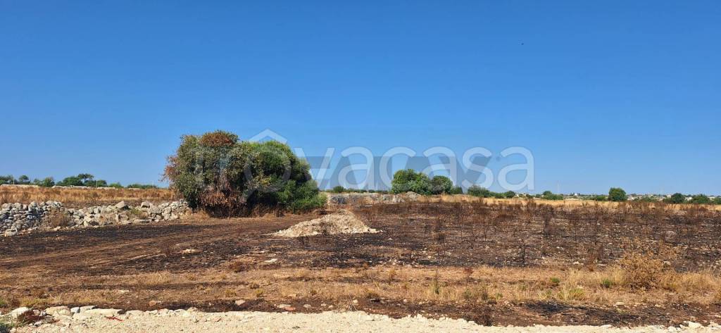 immagine annuncio 2 di 12