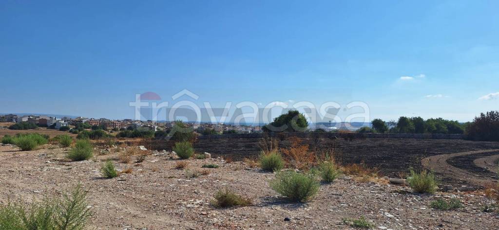 immagine annuncio 6 di 12