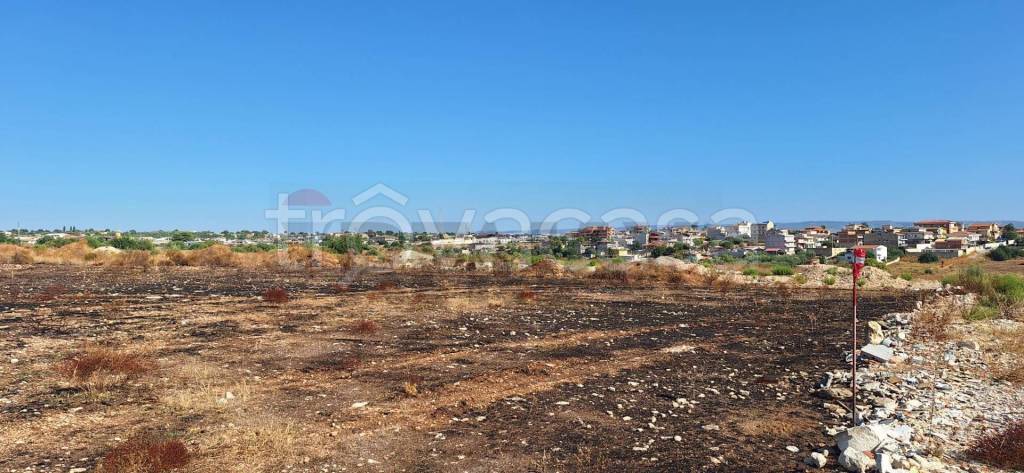 immagine annuncio 10 di 12