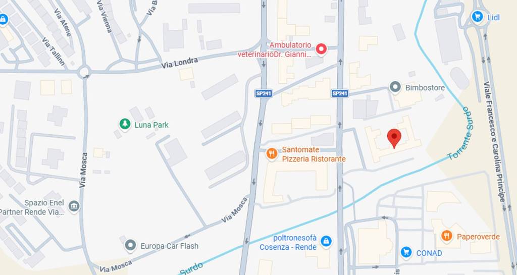 immagine annuncio 10 di 11