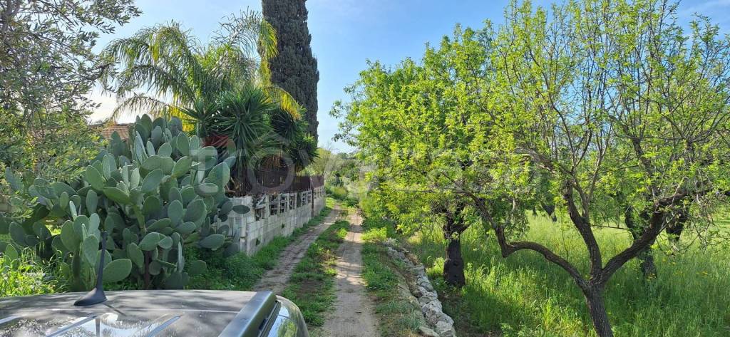 immagine annuncio 12 di 13