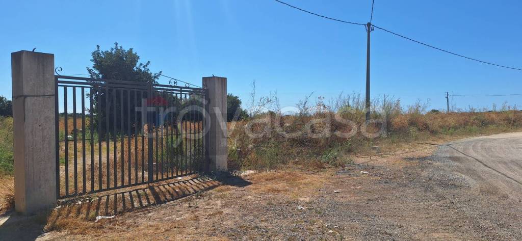 immagine annuncio 2 di 12