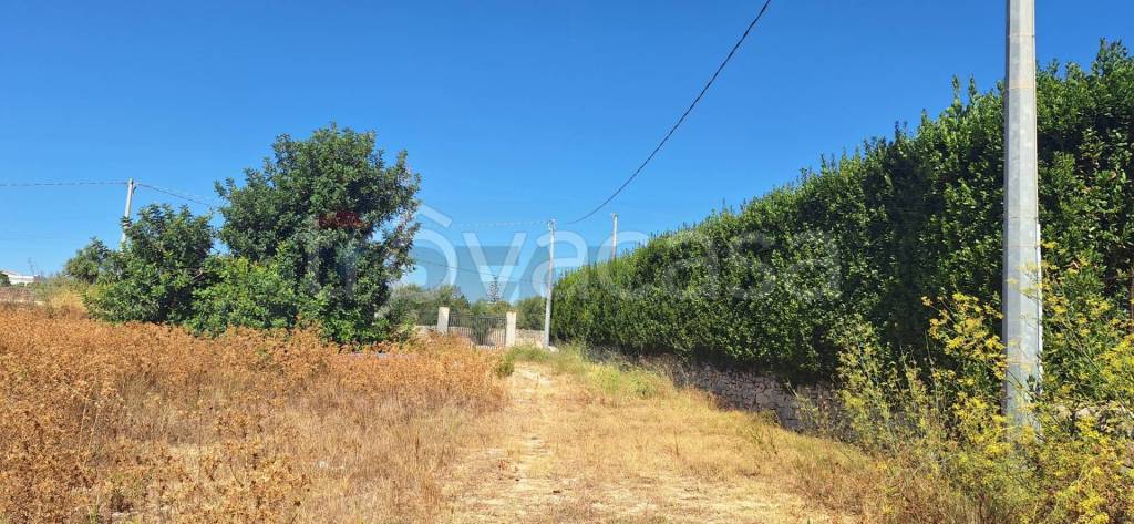 immagine annuncio 6 di 12