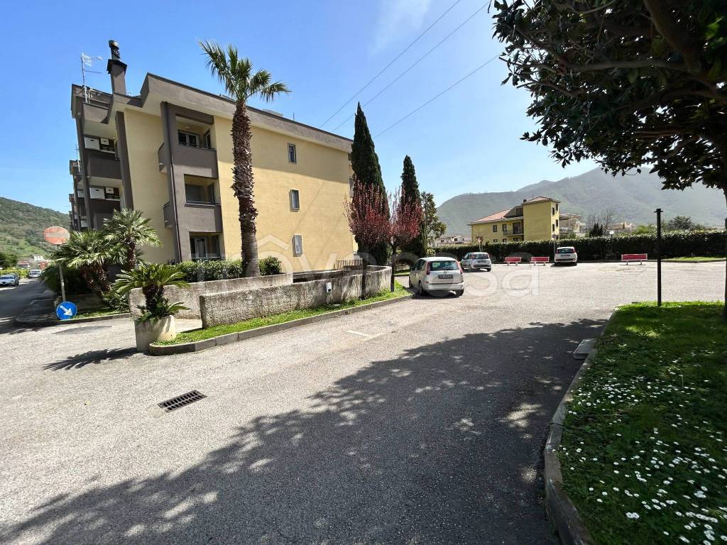 immagine annuncio 12 di 13