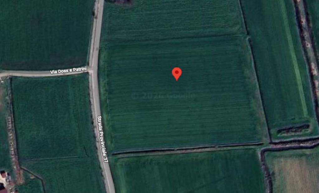 immagine annuncio 2 di 12