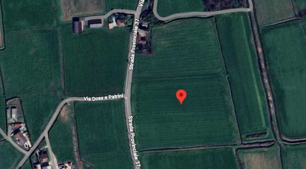 immagine annuncio 3 di 12