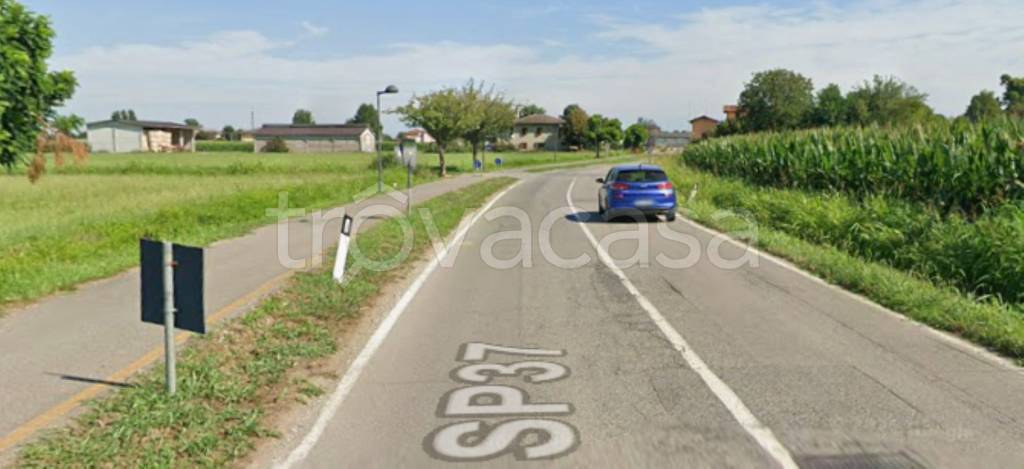 immagine annuncio 7 di 12