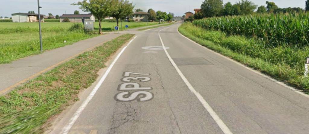 immagine annuncio 9 di 12