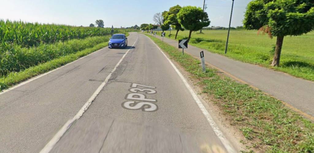 immagine annuncio 10 di 12