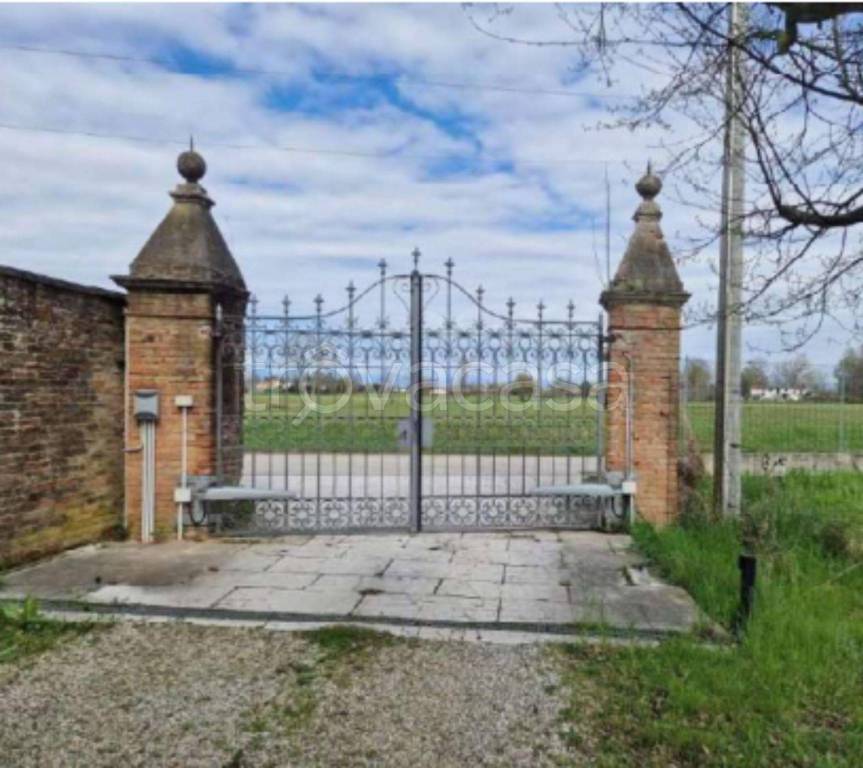 immagine annuncio 6 di 12