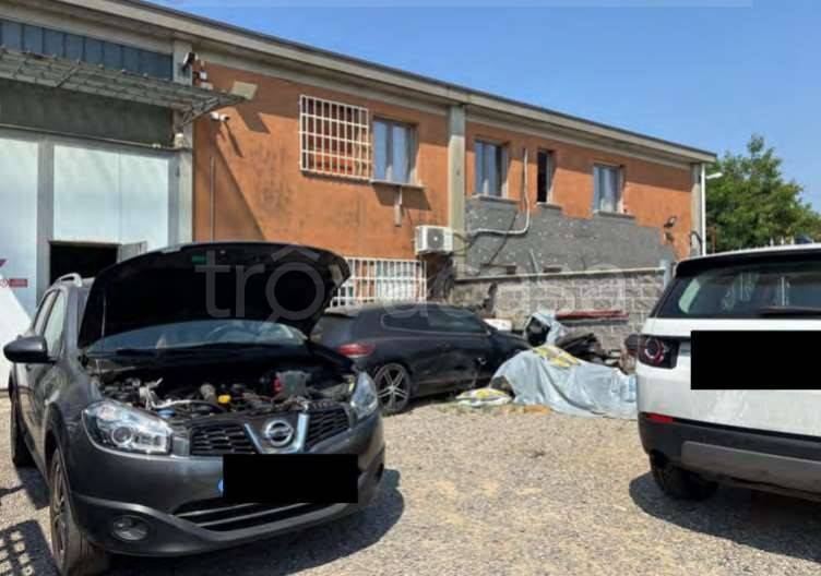 immagine annuncio 1 di 11