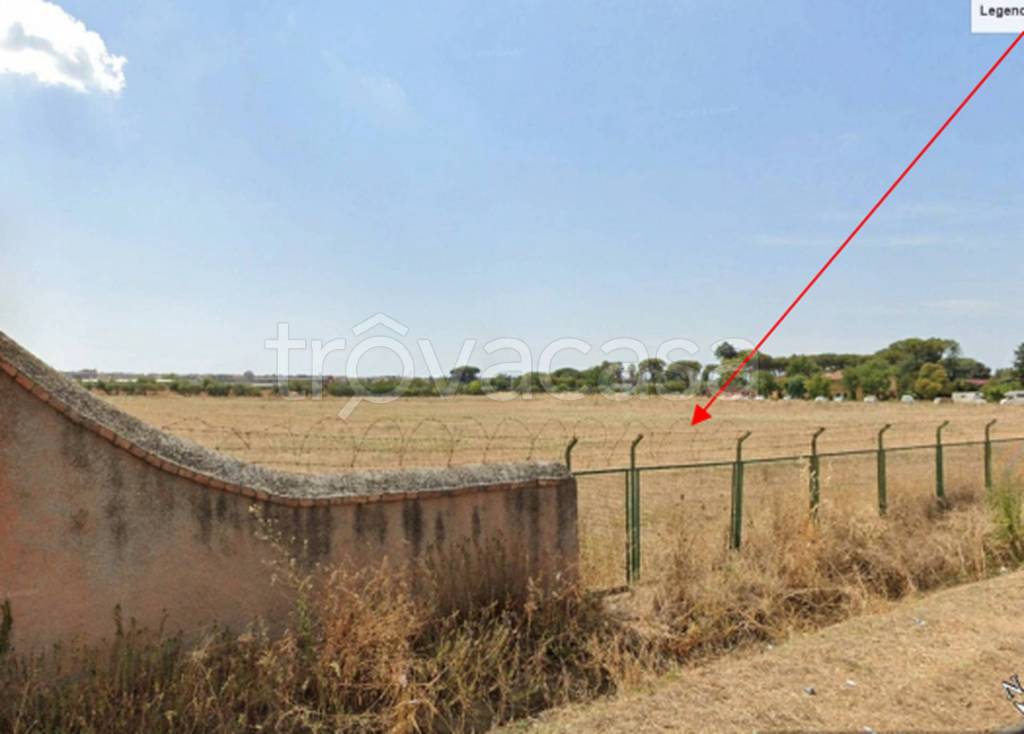 immagine annuncio 10 di 11